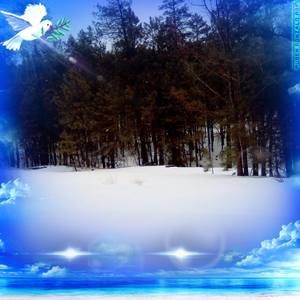 Meet your Posher, Edith